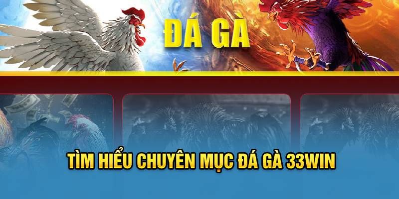 Quy tắc và cách chơi đá gà 33win70 phổ biến dễ thắng